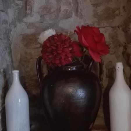 Agriturismo La Vecchia Cascina Di Paolo & Belinda Villa Пиетрелчина Екстериор снимка